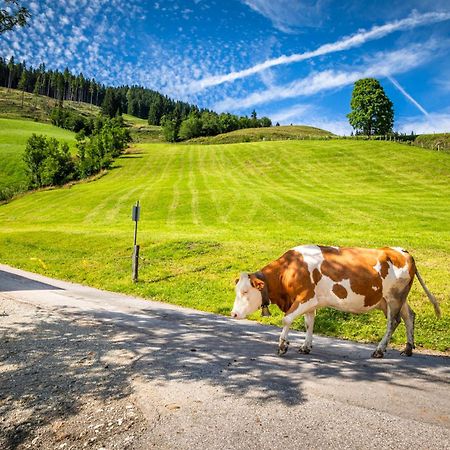 Bauernhaus Bichl Sankt Johann im Pongau Dış mekan fotoğraf